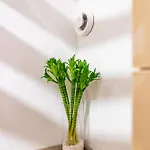 Angel 2bdrm Modern شقة