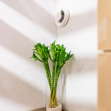 Angel 2bdrm Modern Apartment